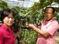 포도·사과·곶감 복합영농, 선진기술 전파‘농업리더役’