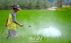 영진기술(주) 방제사업본부 | 병충해 방역작업 한창