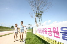 4대강살리기 구미구간 조경수 고사