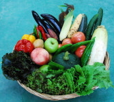 포항 상옥리 ‘참느리SC로컬푸드’ 손대만 대표