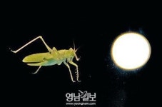 달빛에 촉촉해진 마음, 바람에 씻기고… ‘힐링’도 함께였다
