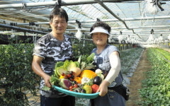 해오름영농법인 대표 최종섭씨, 청정봉화서 희귀채소 재배, 억대부농 꿈 결실