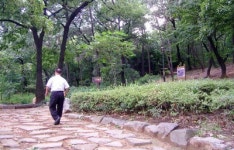 “도심 속 상쾌한 공기…범어공원 숲길 걸어봤나요?”