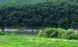 新 금호10景(대구 구간)