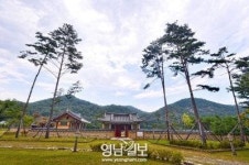 [스토리가 있는 울진 .3] ‘동양의 노스트라다무스’ 격암 남사고 (上)