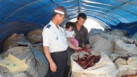 농민 울리는 농산물 절도범 ‘꼼짝마’