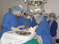 <분홍빛으로병원> 유방혹 흉터없는 수술 트레이닝센터 지정