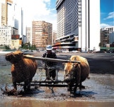 ‘애그리테인먼트’…도시 농업을 즐기다