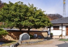 [이야기로 풀어낸 永川史 .7] 자천교회와 권헌중 장로