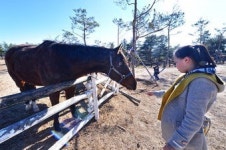 [이야기로 풀어낸 永川史 .8] 운주산 승마자연휴양림