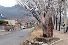 동화사 지방학림 학생·미대동 인천채씨 선비도 “대한독립 만세”