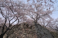 [류혜숙의 여행스케치] 울산 서생포의 왜성