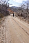 부활 꿈꾸는 우두령(牛頭嶺)
