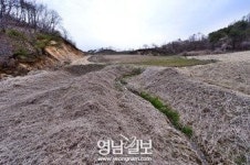 [甘川 百五十里를 가다 .3] 발원지 논란과 대덕산 못재