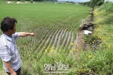 농경지에 폐유 기름띠 유입… “농민 한숨”