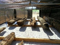 [대한민국 농업의 수도 상주 .2] 농업 수도의 복원