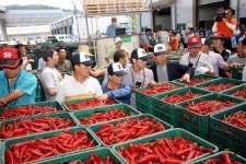 서안동농협 고추공판장 수매 시작