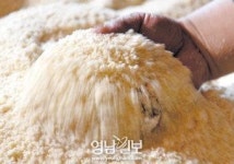 [酒유천하-경북의 술을 찾아서 .7] 85년을 옛 한옥서 옛 방식으로 일일이 손으로 빚다, 청도 ‘동곡막걸리’