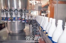 [酒유천하-경북의 술을 찾아서 .7] 85년을 옛 한옥서 옛 방식으로 일일이 손으로 빚다, 청도 ‘동곡막걸리’