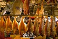 [시선] 수평에서 수직으로