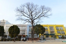 효수령 내려지자 회화나무 잎사귀서 수액 흘러내리고, 옥졸들도 눈물 흘려