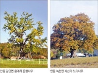 안동 천연기념물 유전자 보존한다