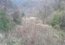 [공매정보] 안동시 남선면 신흥리 토지 2천347㎡