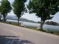 [공매정보] 성주 벽진면 수촌리 논 4천36㎡