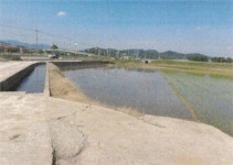 [공매정보] 문경시 흥덕동 159-3번지 논 1379㎡