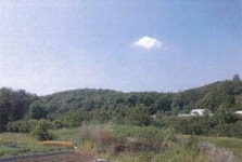 [공매정보] 대구 달성군 하빈면 임야 토지 3만1438㎡