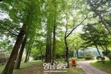 [스토리의 寶庫 김천을 이야기하다 .9] 추풍령휴게소(下)