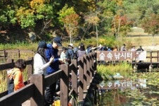 안동시, 산림문화휴양처로 인기몰이