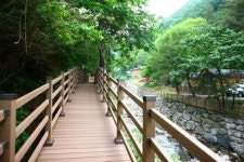 [김천] 수도산휴양림서 ‘조용한 안식’
