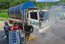 의성서 구제역…백신접종 소홀했다