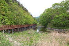 [김영현의 걷기 여행 .5] ‘文鄕의 길’ 외씨버선길 영양구간