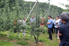 [살아있네 경북사과 .4] 고품질 사과의 주역들 <하>(끝)