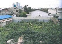 [공매정보] 대구 중구 대봉동 토지 185㎡·13㎡