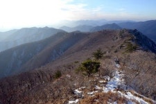 [최원식의 산] 기룡산(騎龍山·해발 961m· 경북   영천시)