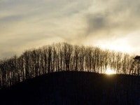[최원식의 산] 기룡산(騎龍山·해발 961m· 경북   영천시)
