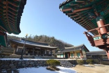 [최원식의 산] 기룡산(騎龍山·해발 961m· 경북   영천시)