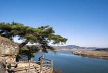 [김영현의 걷기 여행 .9] 삼백의 고장 상주