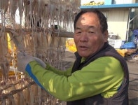 [직업의 세계] 포항 구룡포 과메기가공공장 사람들
