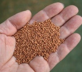 1천℃서 구운 천연무기질 충진재, 인조잔디 무공해 운동장으로 변신