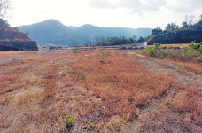 [경매정보] 영천 송천리·경산 와촌면 대동리·박사리 토지