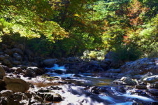 봉화, 여름에도 발 시린 백천계곡…인근엔 청옥산자연휴양림