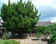 [류혜숙의 여행스케치] 경주 괘릉리·수봉정