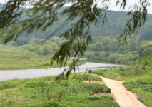 [스토리의 寶庫  청송 .14] 김주영 작가가 말하는 내 고향 청송