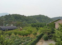 [공매정보] 대구 수성구 이천동 산 113번지 토지 2만3008㎡
