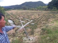 운문댐 상류 지역에 축산 오폐수 ‘방류’