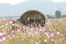 [서태영의 포토 바이킹 .17] 대구 노곡동 금호강 하중도∼노곡1길∼팔달교∼팔거천자전거길